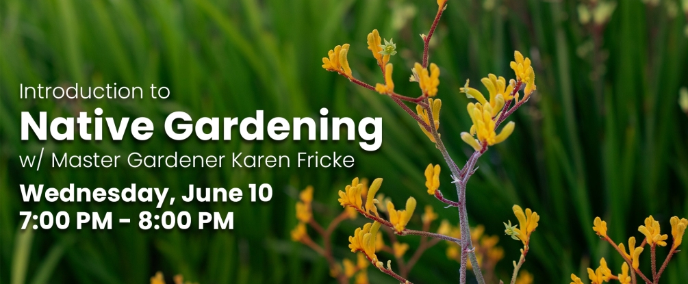 Intro to Native Gardening, June 10, 7-8:00pm